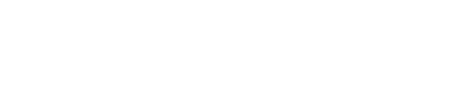 Mastercore Sinapsys Global®